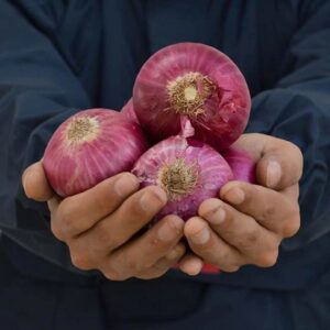 100% Organic Onion
